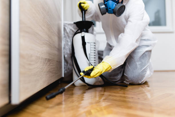 Best Pest Control Near Me in Rusk, TX
