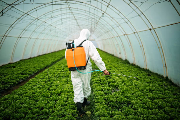 Best Pest Removal Services  in Rusk, TX