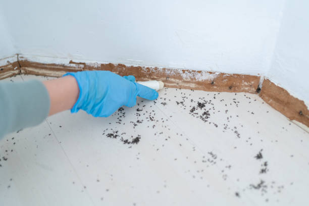 Best Cockroach Control Services  in Rusk, TX